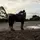 Milly_eq 🐴✝️