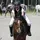 Halima.event