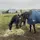 k_eventing_eq