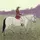 Equestrian_life