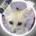 FennecRLYT 