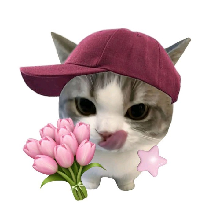 poppypop[ER]