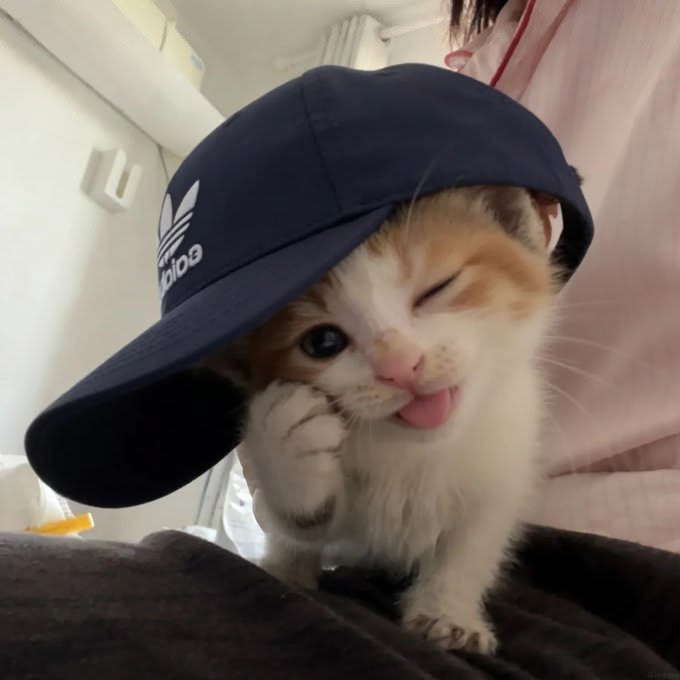 Sea🌊