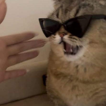 𝘯𝘵𝘣