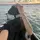 Ivanp_ortes