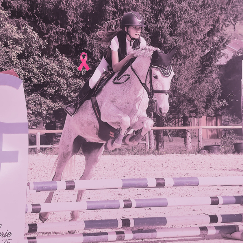 Julia_Horses