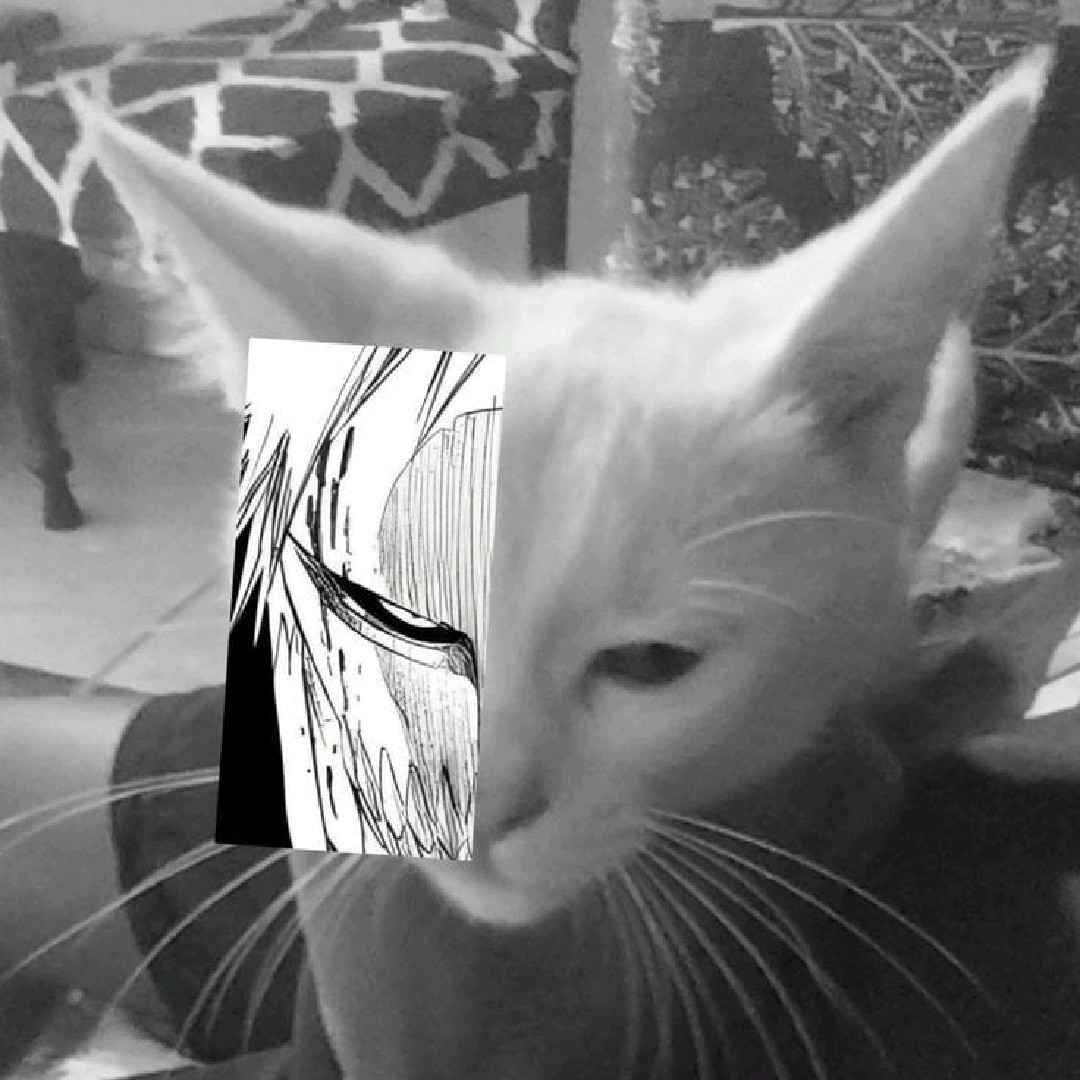 Nnyx