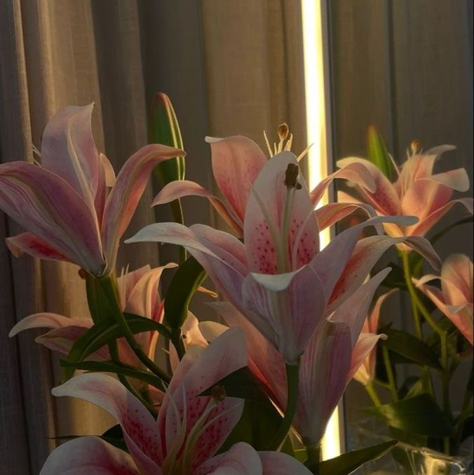 𝙅_𝙢𝙡𝙣’🌺