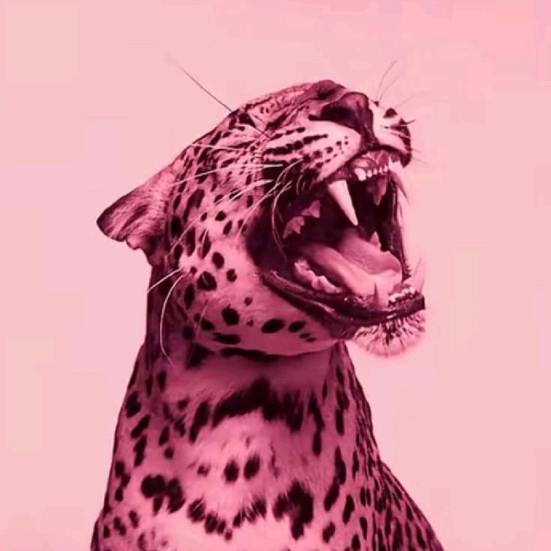 ♪ L$ ♪