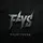 falstydesg