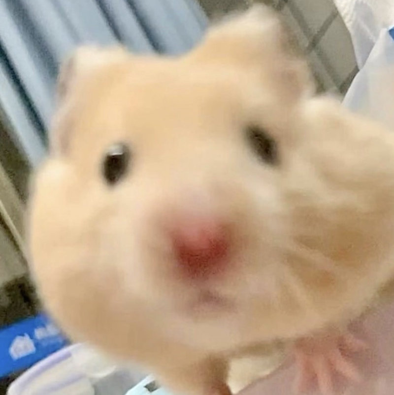 한결