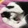 にゃんなな
