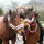Zoé et ses poneys 