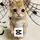 Notcat