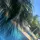 Slakkkk(: