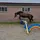 HorseEdits💕🐎