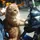 XioUnan 