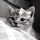 Woxy