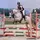 Julia_Horses