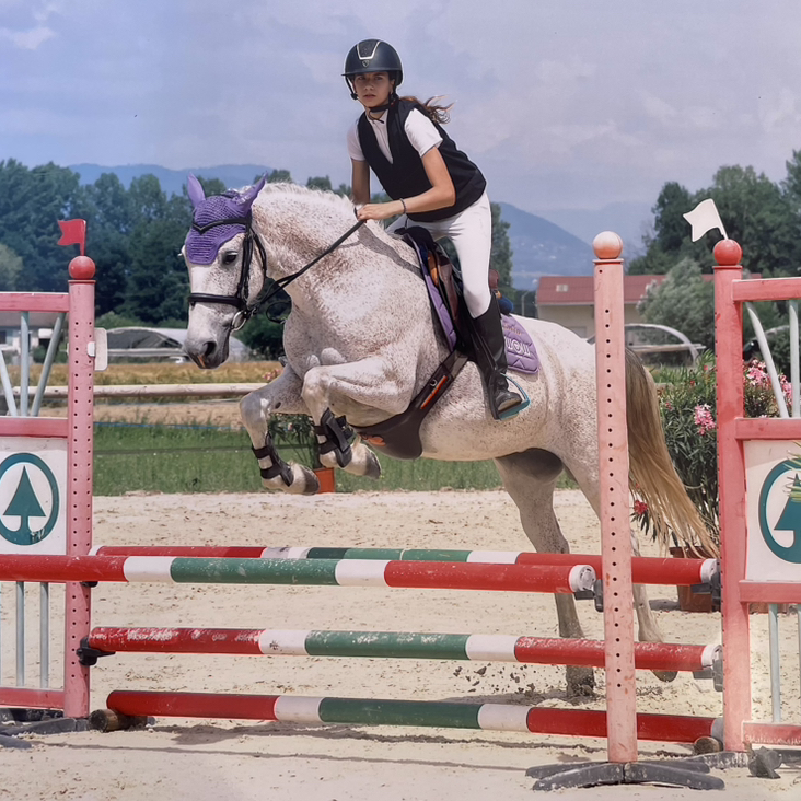 Julia_Horses