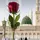 warda
