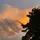 Sunset Story