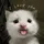 inly_