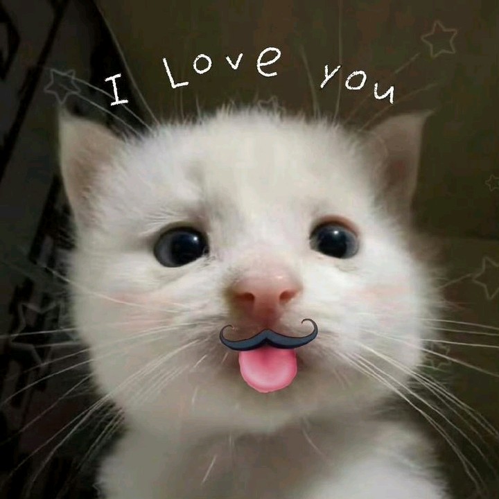 inly_