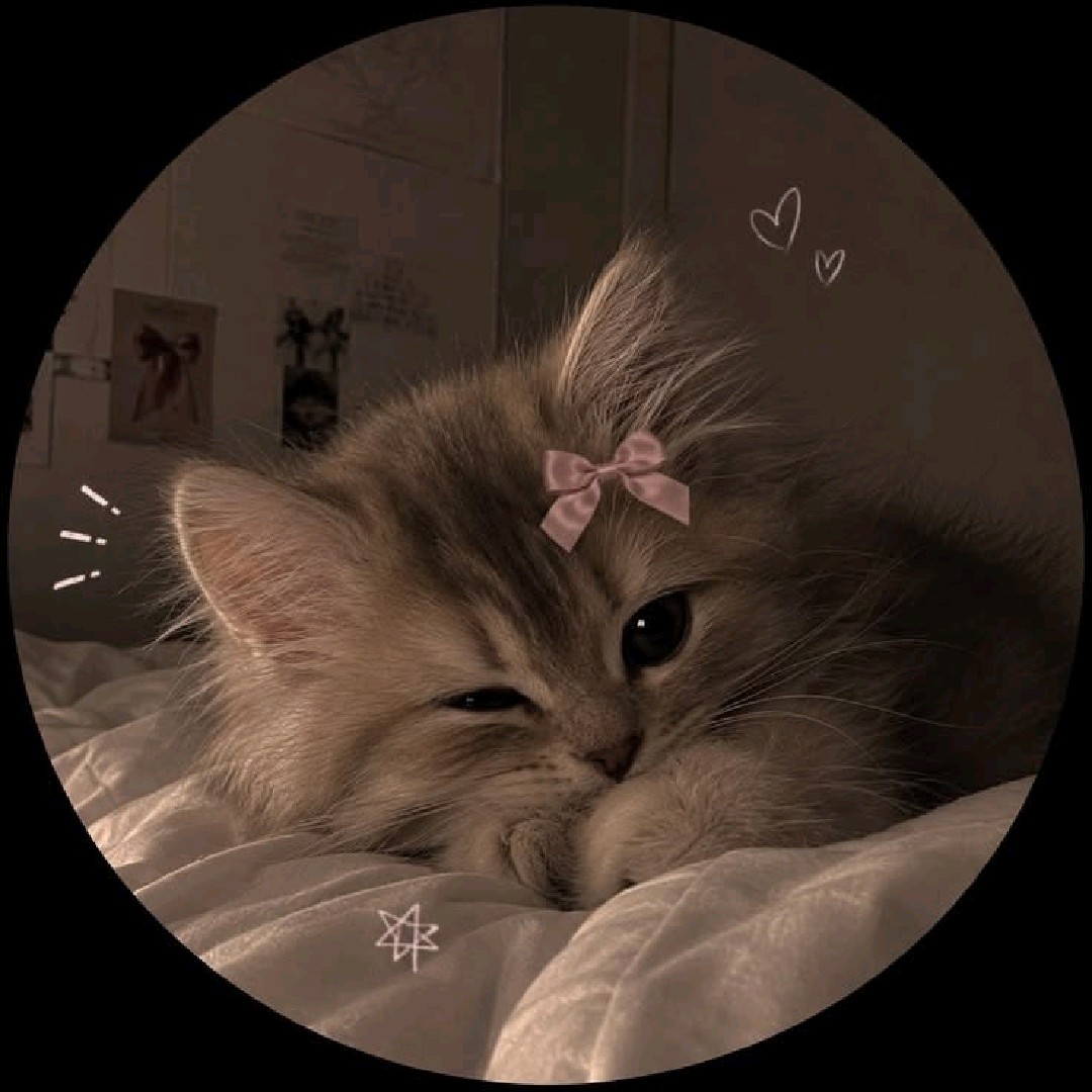 👑☆ 𝓐𝓻𝓽𝓲𝓼𝓪𝓷☆