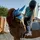 Kylee_eq