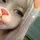 ちゃんりお．
