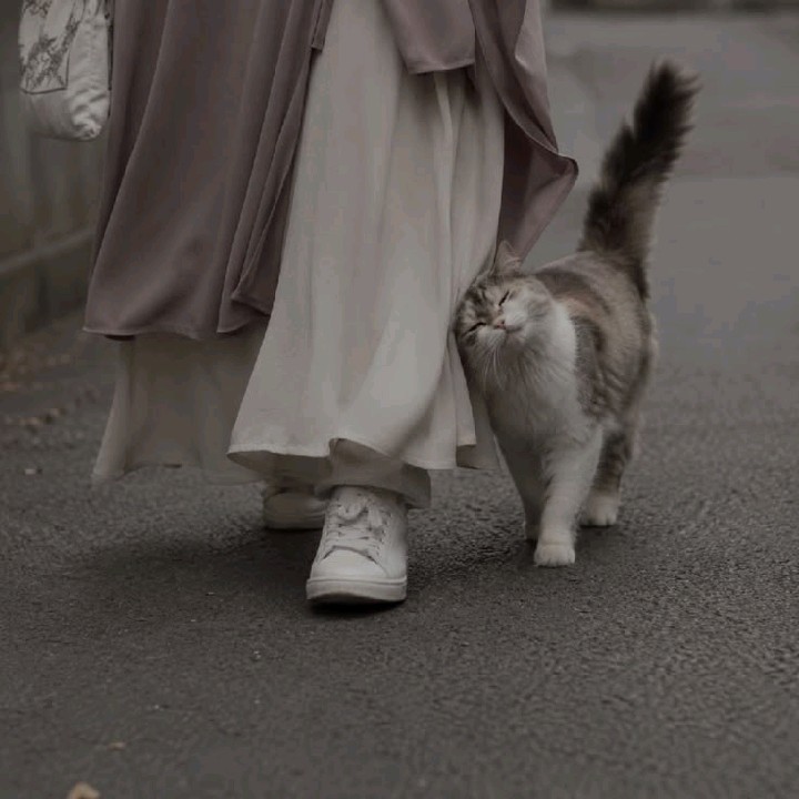 مــلــڪہ‏‏👑"