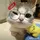 Yaing565