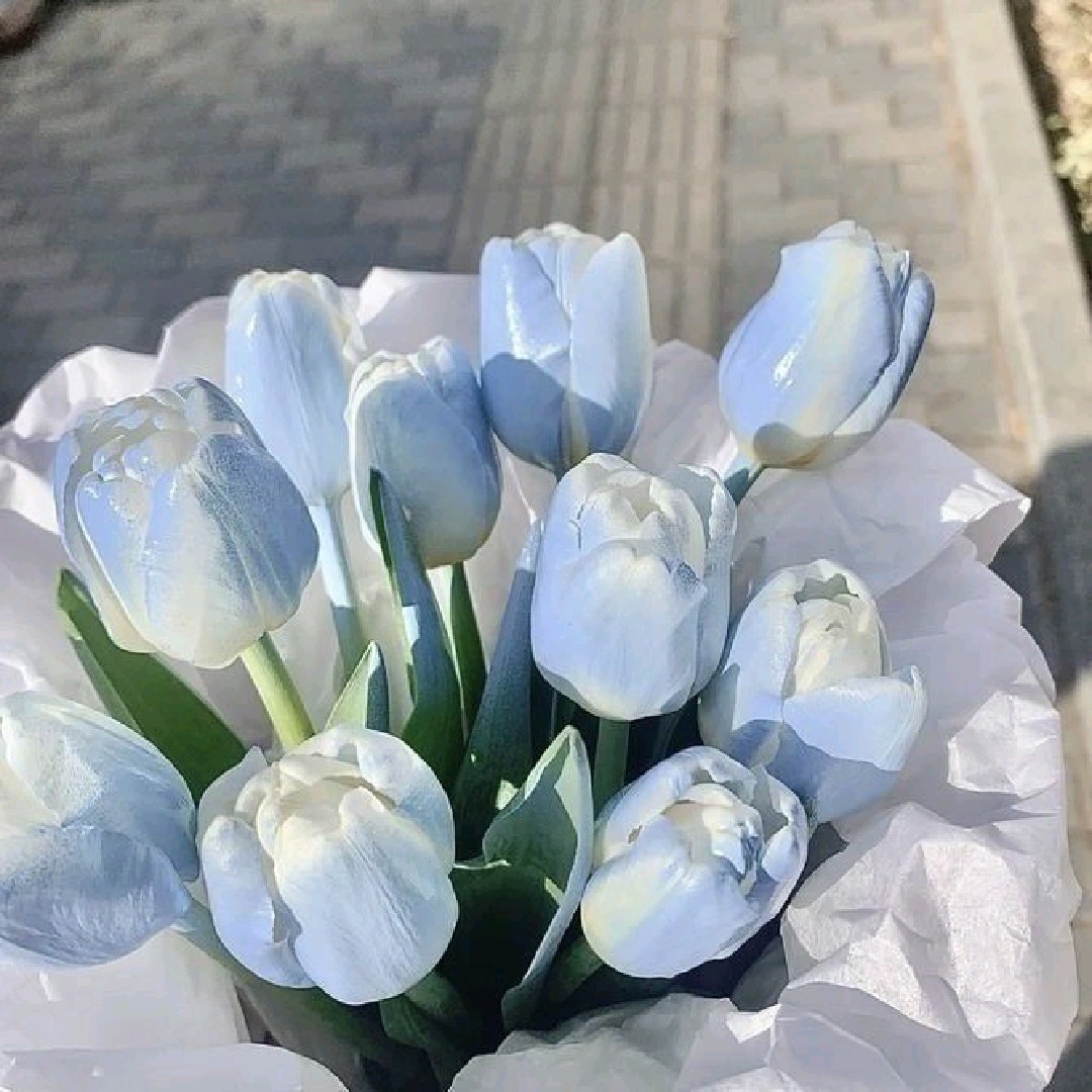 blue.[RFS]