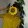 Aramoss_capcut