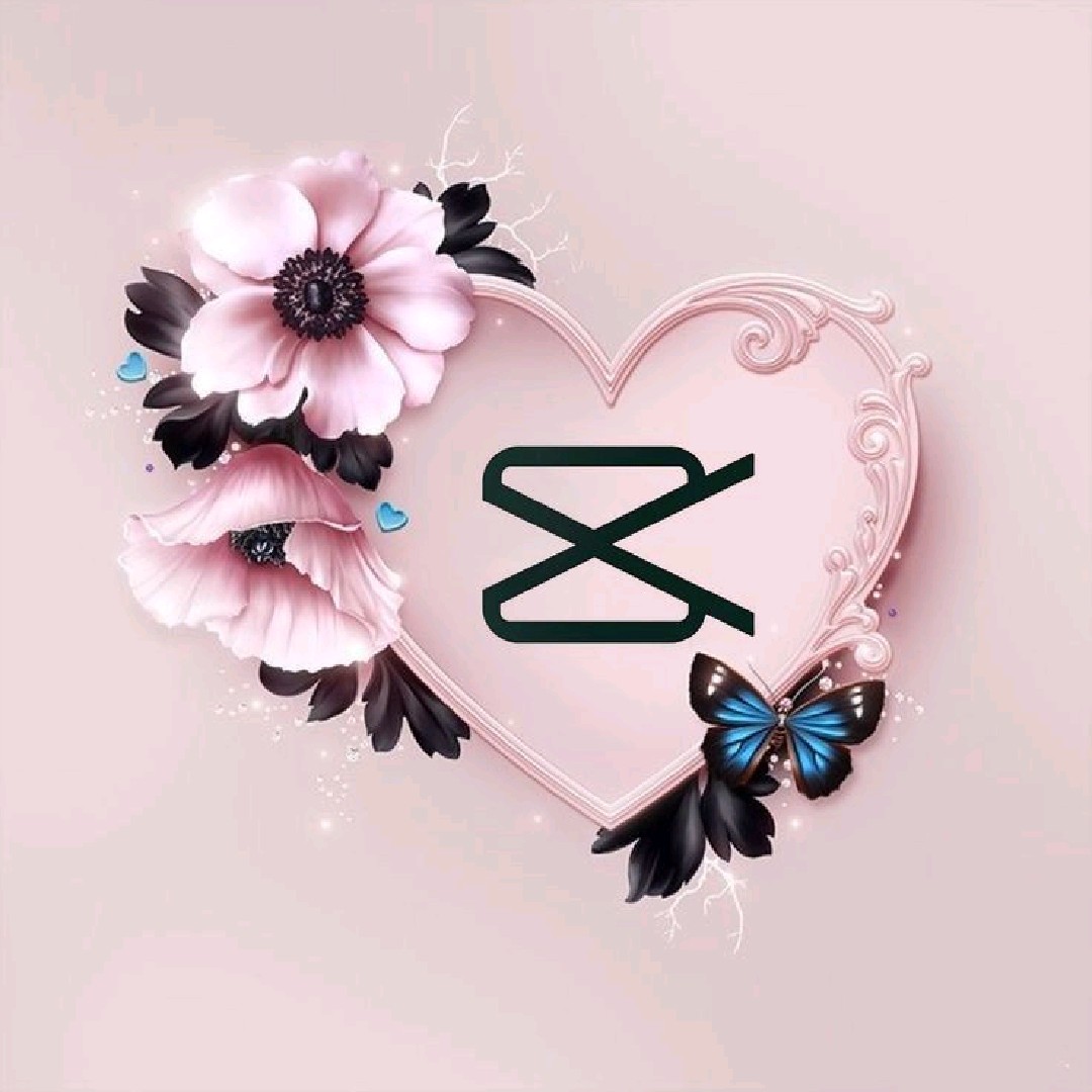 𓆩💜𓆪𝐶𝑎𝒑𝑐𝑢𝒕👑