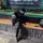 Kiplett_12