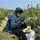 Template_keren