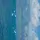 Alii 🩵