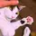 保護猫戦隊にゃんころズ