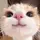시오