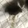 めろんそーだ。