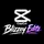 BLIZZEY EDITZ 