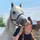 ☆Un_Poney_Gris☆