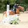 JumpingWithGrace