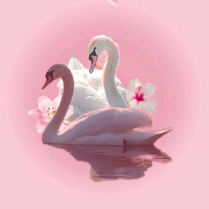 Ir_ma_y_ [ER]