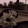 Tanha_Typist 