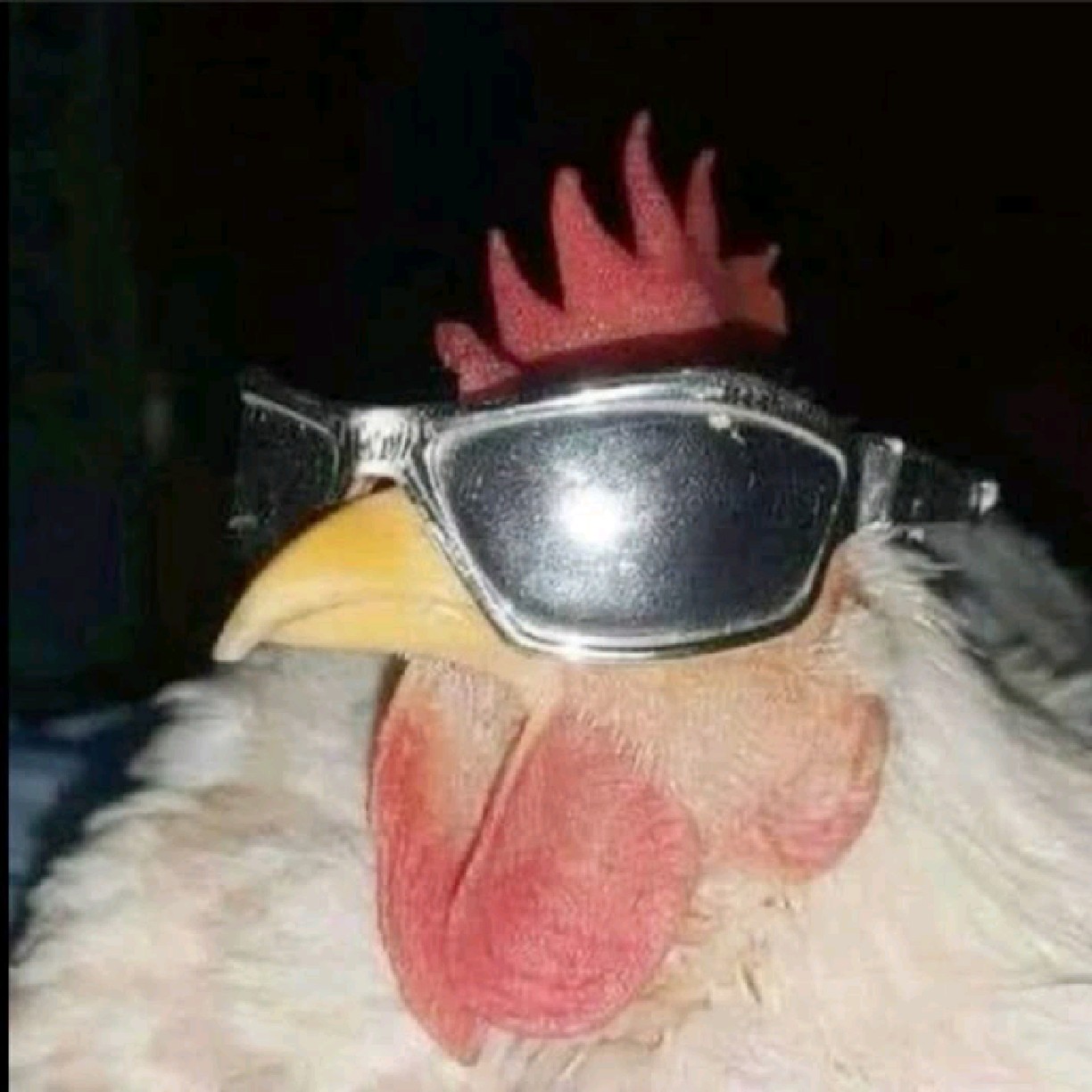 SAKZZXX?