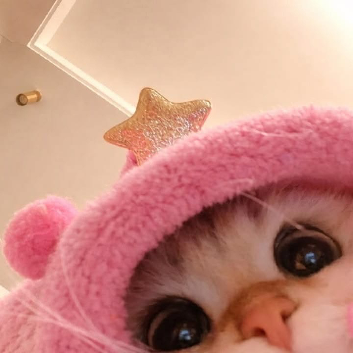 ˙˙ᴬⁱᴸᵘᵐⁱⁿᵃᶜᵘᵗ ༘ ⋆｡˚