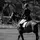 Myah_showjumping